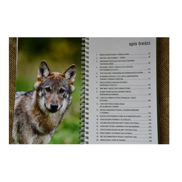 BIESZCZADY. 20 NAJWIĘKSZYCH ATRAKCJI PRZYRODNICZYCH - obrazek 6
